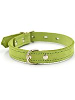 Ошейник 1124С Color Line, двухслойный, нубук, салатовый, 25 мм, длина 35-45 см РАСПРОДАЖА