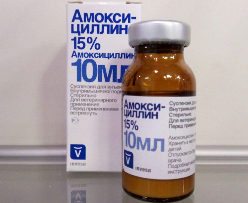 Амоксициллин 15%, раствор для инъекций, 10 мл фото 2