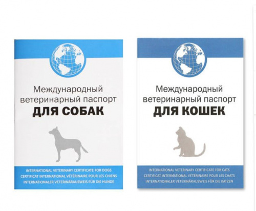 Паспорт вакцинации Паспорт вакцинации